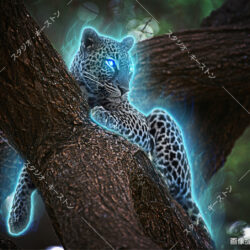 画像加工−オーラ−