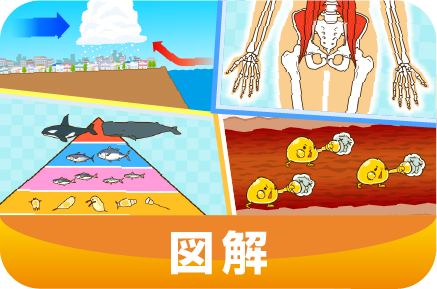 グラフ・表・説明用のイラストなどをもっとわかりやすくお届けします。新聞社やテレビ番組で数多く使用されています 。参考イラスト一覧はこちらのページをご覧ください。