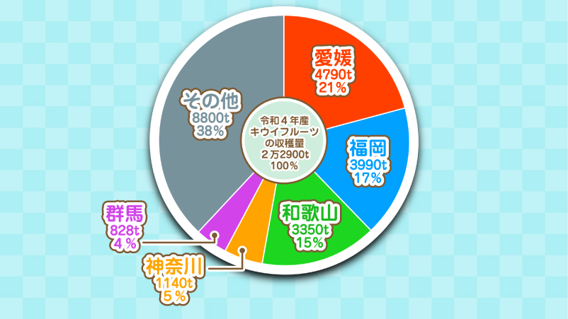 図解・グラフ・表などの制作見本。ビジネス資料や記事向けの分かりやすいインフォグラフィックデザインの料金資料用画像です。